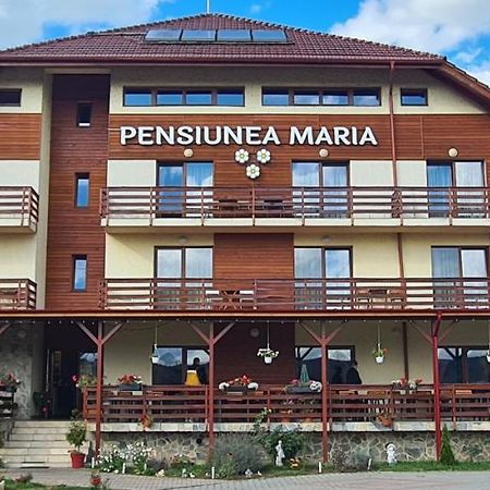 Pensiunea Maria Gilău Εξωτερικό φωτογραφία