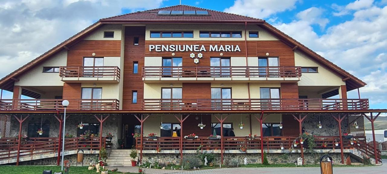 Pensiunea Maria Gilău Εξωτερικό φωτογραφία